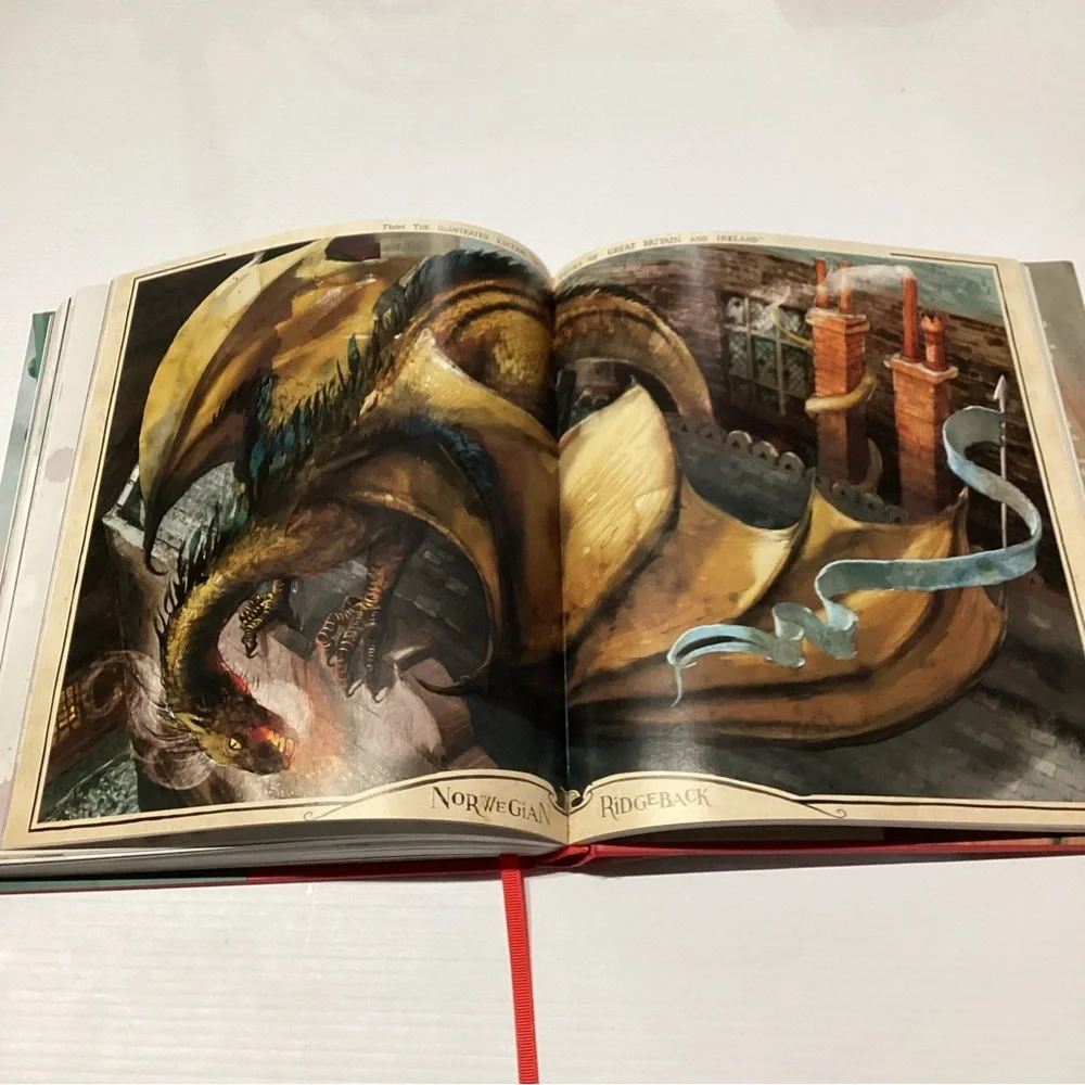 Harry Potter and the Philosopher's Stone: Illustrated Edition 1st Edition - Picture 12 of 13